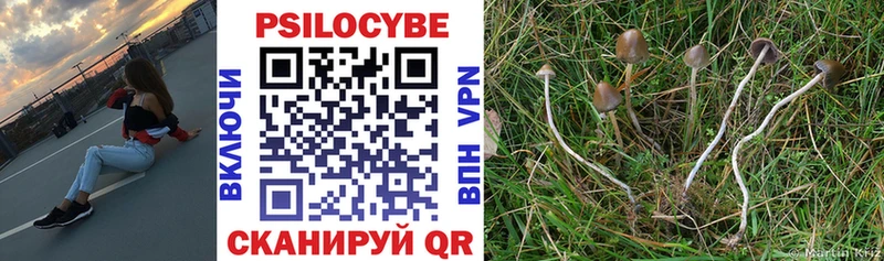 Псилоцибиновые грибы Psilocybe  Казань 